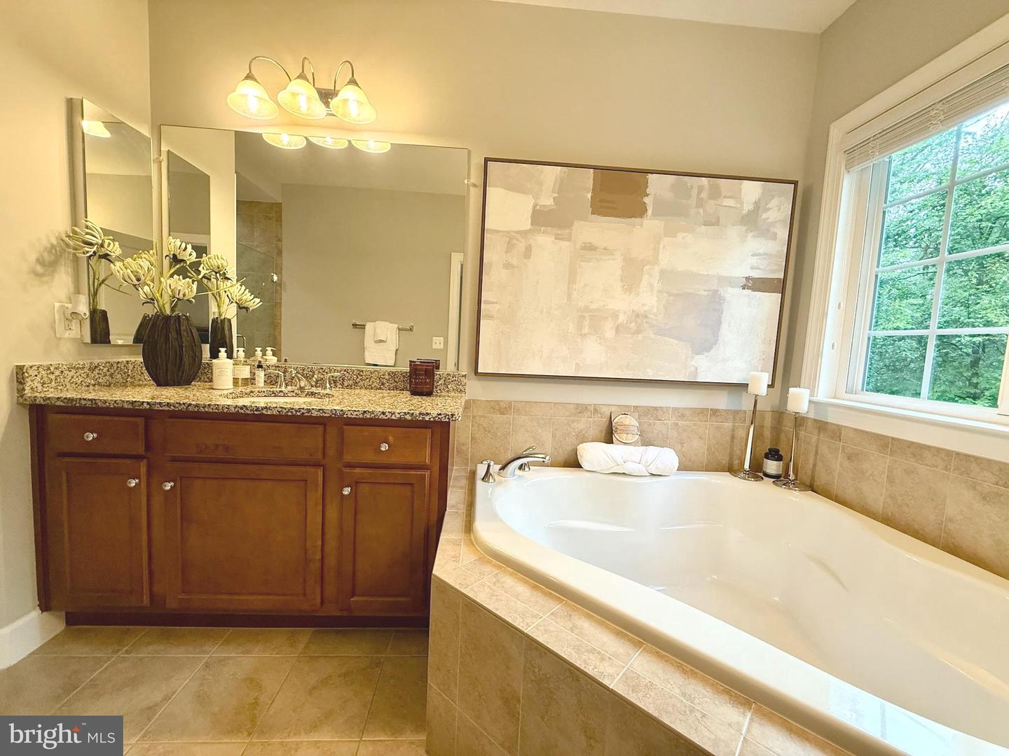 1294 SCOTTS RUN RD, MCLEAN, Virginia 22102, 6 Bedrooms Bedrooms, ,5 BathroomsBathrooms,Residential,For sale,1294 SCOTTS RUN RD,VAFX2264958 MLS # VAFX2264958