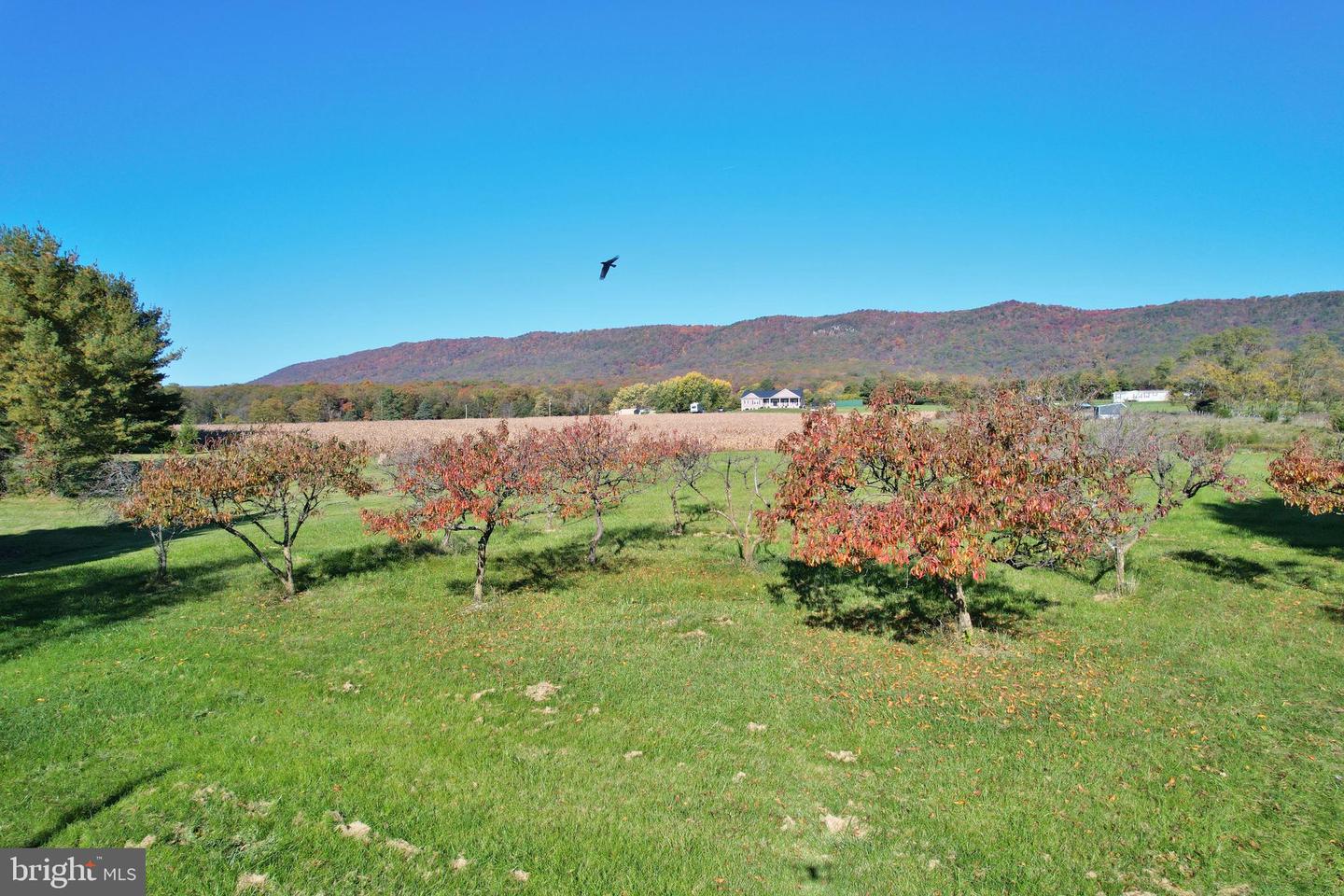 8289 BACK RD, MAURERTOWN, Virginia 22644, 2 Bedrooms Bedrooms, ,2 BathroomsBathrooms,Residential,For sale,8289 BACK RD,VASH2010782 MLS # VASH2010782 8289 BACK RD, MAURERTOWN, Virginia 22644, 2 Bedrooms Bedrooms, ,2 BathroomsBathrooms,Residential,For sale,8289 BACK RD,VASH2010782 MLS # VASH2010782