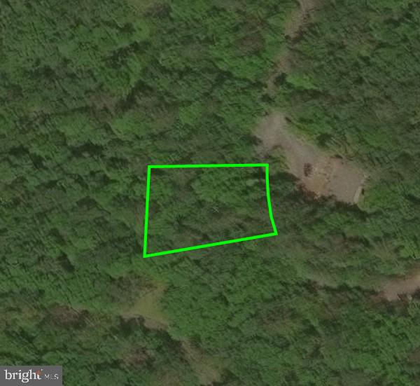 LOT 177 SPRUCE LN, MOUNT JACKSON, Virginia 22842, ,Land,For sale,LOT 177 SPRUCE LN,VASH2012386 MLS # VASH2012386
