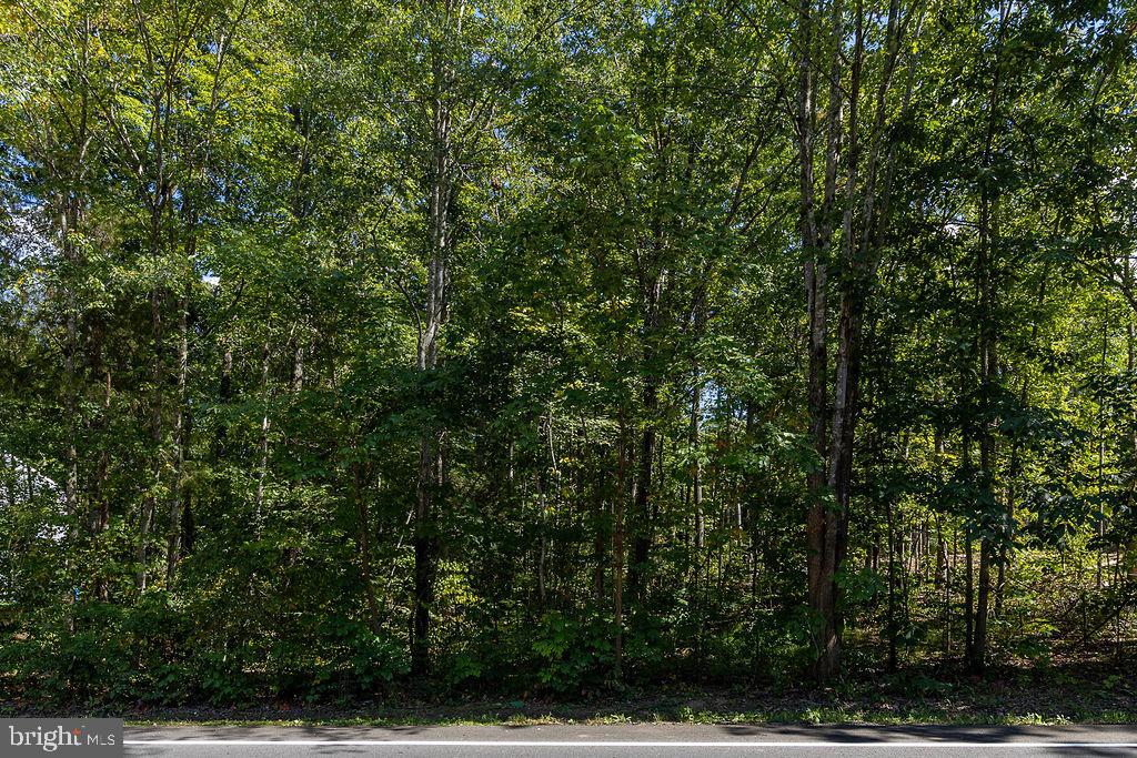 1233 LAKEVIEW PKWY, LOCUST GROVE, Virginia 22508, ,Land,For sale,1233 LAKEVIEW PKWY,VAOR2010674 MLS # VAOR2010674