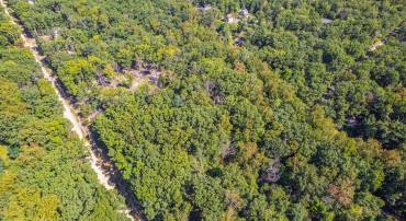 302 COUGAR TRL, WINCHESTER, Virginia 22602, ,Land,For sale,302 COUGAR TRL,VAFV2036632 MLS # VAFV2036632