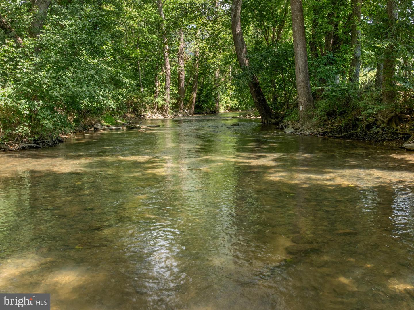 934 CLICKS LN, NEW MARKET, Virginia 22844, 1 Bedroom Bedrooms, ,1 BathroomBathrooms,Residential,For sale,934 CLICKS LN,VASH2012356 MLS # VASH2012356 934 CLICKS LN, NEW MARKET, Virginia 22844, 1 Bedroom Bedrooms, ,1 BathroomBathrooms,Residential,For sale,934 CLICKS LN,VASH2012356 MLS # VASH2012356