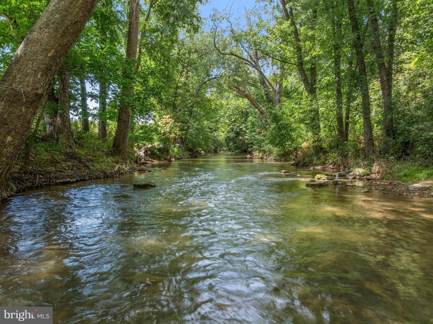 934 CLICKS LN, NEW MARKET, Virginia 22844, 1 Bedroom Bedrooms, ,1 BathroomBathrooms,Residential,For sale,934 CLICKS LN,VASH2012356 MLS # VASH2012356 934 CLICKS LN, NEW MARKET, Virginia 22844, 1 Bedroom Bedrooms, ,1 BathroomBathrooms,Residential,For sale,934 CLICKS LN,VASH2012356 MLS # VASH2012356