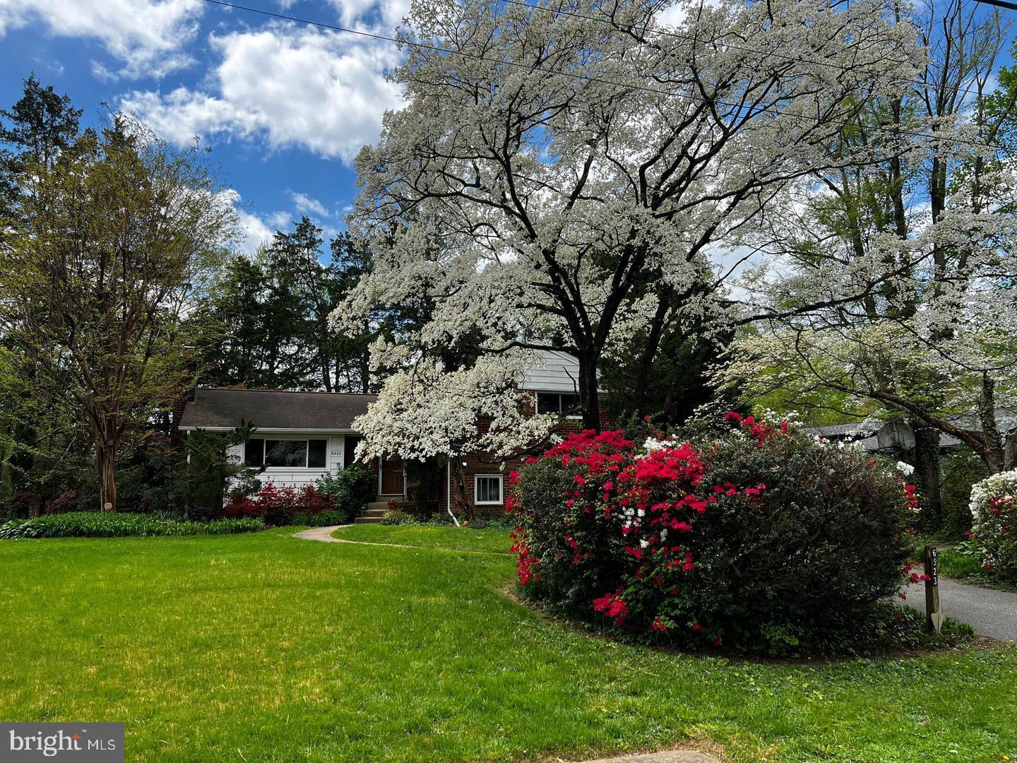 6523 KERNS RD, FALLS CHURCH, Virginia 22044, 4 Bedrooms Bedrooms, ,4 BathroomsBathrooms,Residential,For sale,6523 KERNS RD,VAFX2263872 MLS # VAFX2263872