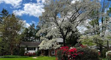 6523 KERNS RD, FALLS CHURCH, Virginia 22044, 4 Bedrooms Bedrooms, ,4 BathroomsBathrooms,Residential,For sale,6523 KERNS RD,VAFX2263872 MLS # VAFX2263872