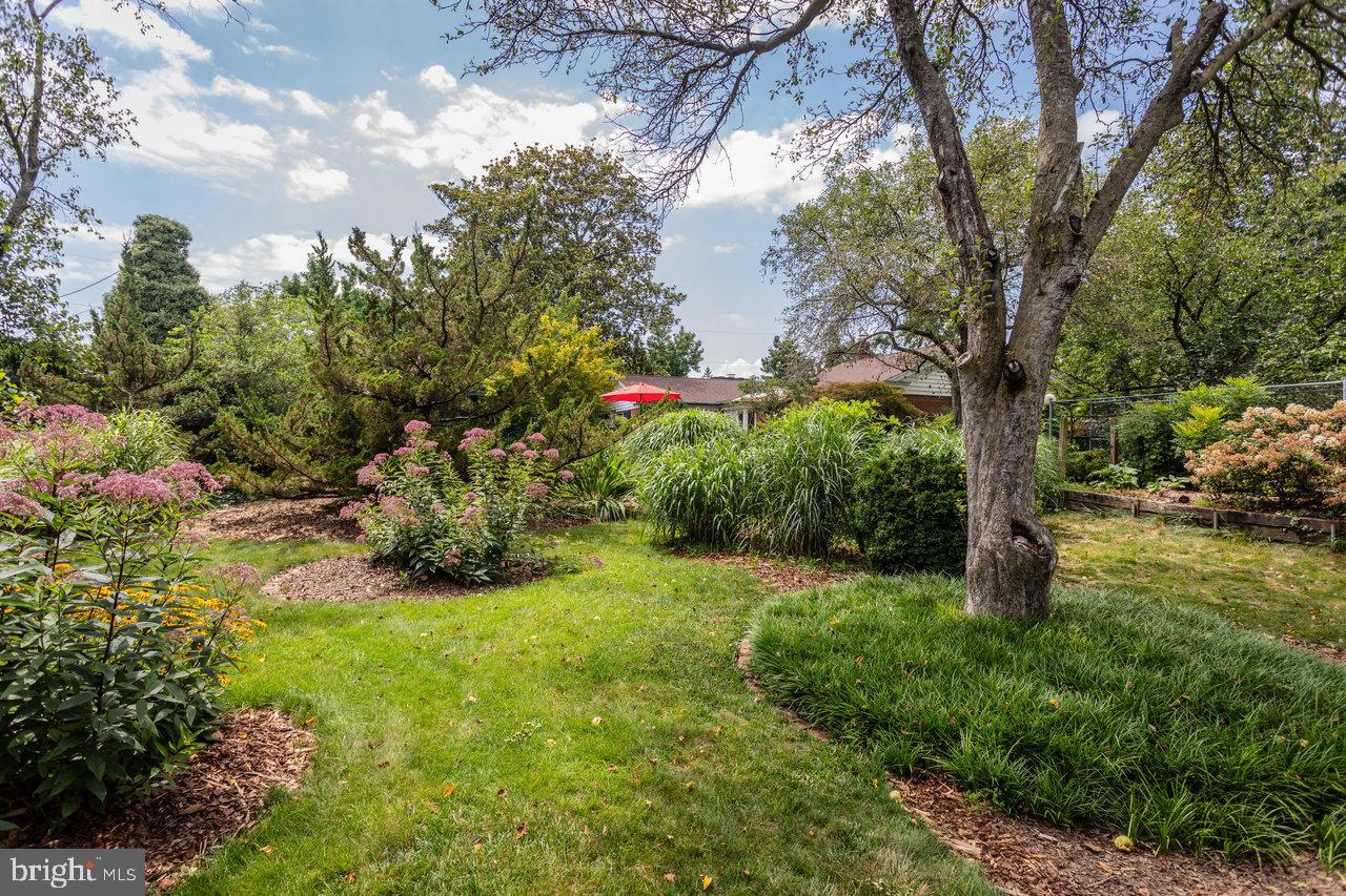 700 NEW YORK AVE, HARRISONBURG, Virginia 22801, 3 Bedrooms Bedrooms, ,2 BathroomsBathrooms,Residential,For sale,700 NEW YORK AVE,VAHC2000486 MLS # VAHC2000486