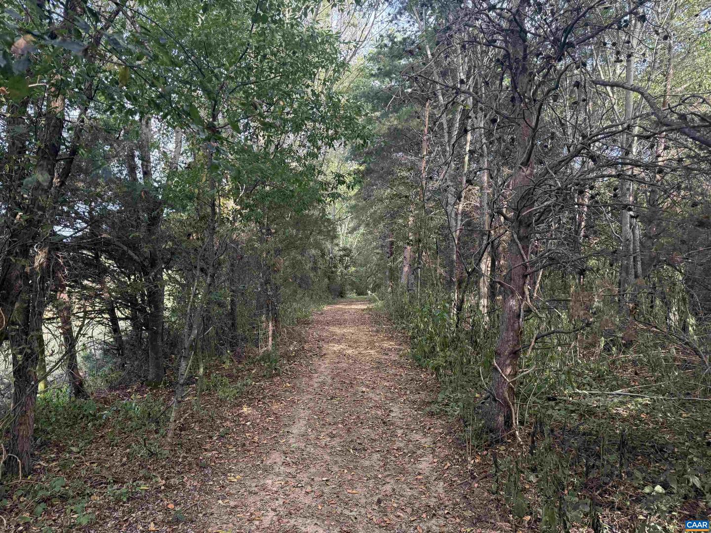 27233 HORSESHOE RD, CULPEPER, Virginia 22701, 4 Bedrooms Bedrooms, ,3 BathroomsBathrooms,Residential,For sale,27233 HORSESHOE RD,668488 MLS # 668488 27233 HORSESHOE RD, CULPEPER, Virginia 22701, 4 Bedrooms Bedrooms, ,3 BathroomsBathrooms,Residential,For sale,27233 HORSESHOE RD,668488 MLS # 668488