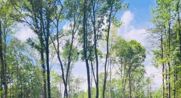 LOT 3 FRESHWATER CREEK RD, MINERAL, Virginia 23117, ,Land,For sale,LOT 3 FRESHWATER CREEK RD,VALA2008498 MLS # VALA2008498