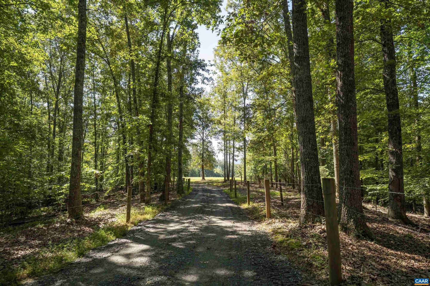 TBD WATTS PASSAGE, CHARLOTTESVILLE, Virginia 22911, ,Farm,For sale,TBD WATTS PASSAGE,668615 MLS # 668615