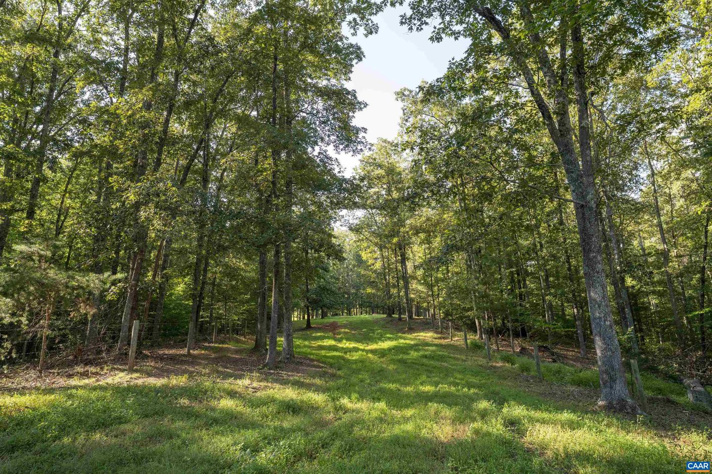 TBD WATTS PASSAGE, CHARLOTTESVILLE, Virginia 22911, ,Farm,For sale,TBD WATTS PASSAGE,668615 MLS # 668615