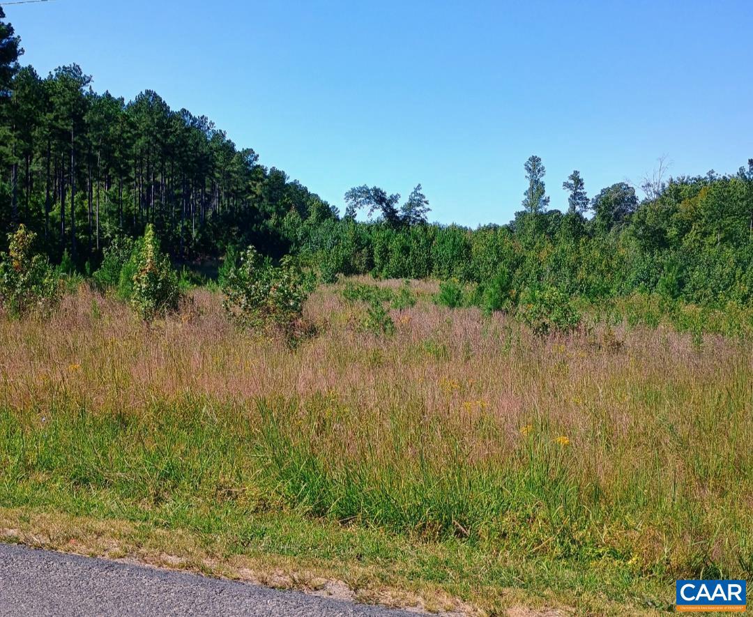 0 TISDALE RD, LOUISA, Virginia 23093, ,Land,For sale,0 TISDALE RD,668646 MLS # 668646