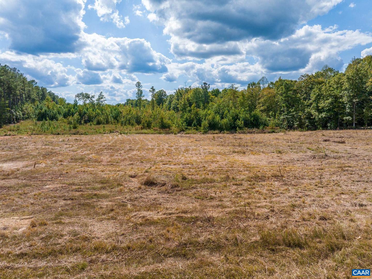 0 TISDALE RD, LOUISA, Virginia 23093, ,Land,For sale,0 TISDALE RD,668646 MLS # 668646
