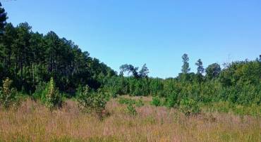 0 TISDALE RD, LOUISA, Virginia 23093, ,Land,For sale,0 TISDALE RD,668646 MLS # 668646