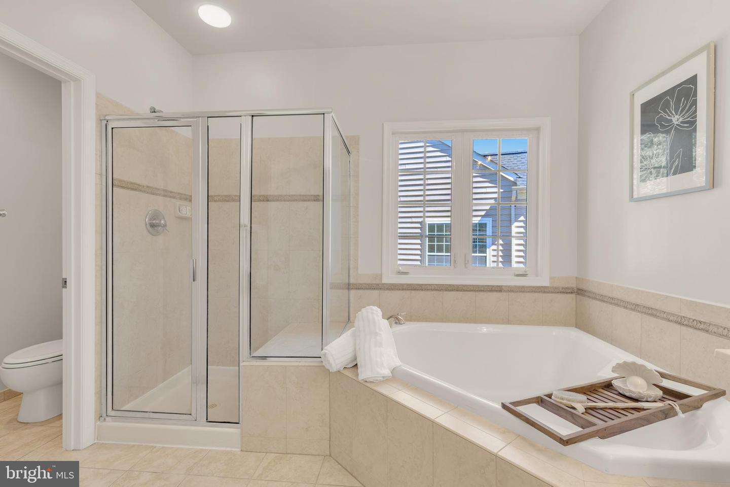 21997 STONESTILE PL, BROADLANDS, Virginia 20148, 4 Bedrooms Bedrooms, ,2 BathroomsBathrooms,Residential,For sale,21997 STONESTILE PL,VALO2101990 MLS # VALO2101990