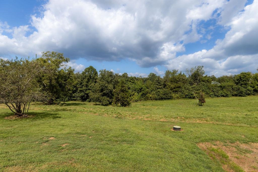 745 ALBEVANNA SPRING RD, SCOTTSVILLE, Virginia 24590, 5 Bedrooms Bedrooms, ,2 BathroomsBathrooms,Residential,Belle Haven Farm,745 ALBEVANNA SPRING RD,668632 MLS # 668632