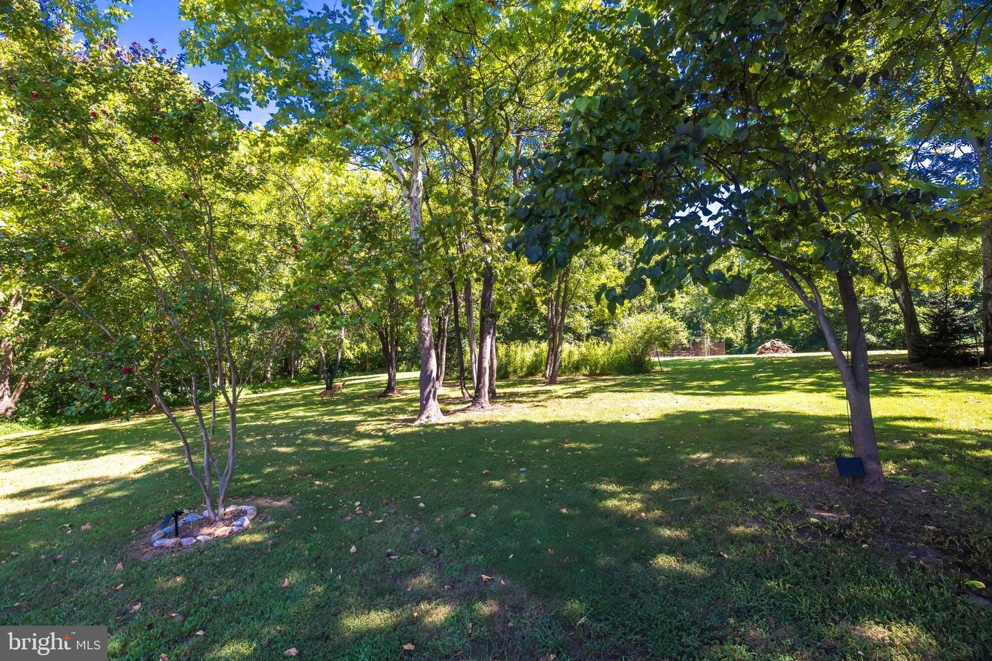 11268 ALLIUM LN, LOVETTSVILLE, Virginia 20180, 4 Bedrooms Bedrooms, 11 Rooms Rooms,2 BathroomsBathrooms,Residential,For sale,11268 ALLIUM LN,VALO2104806 MLS # VALO2104806