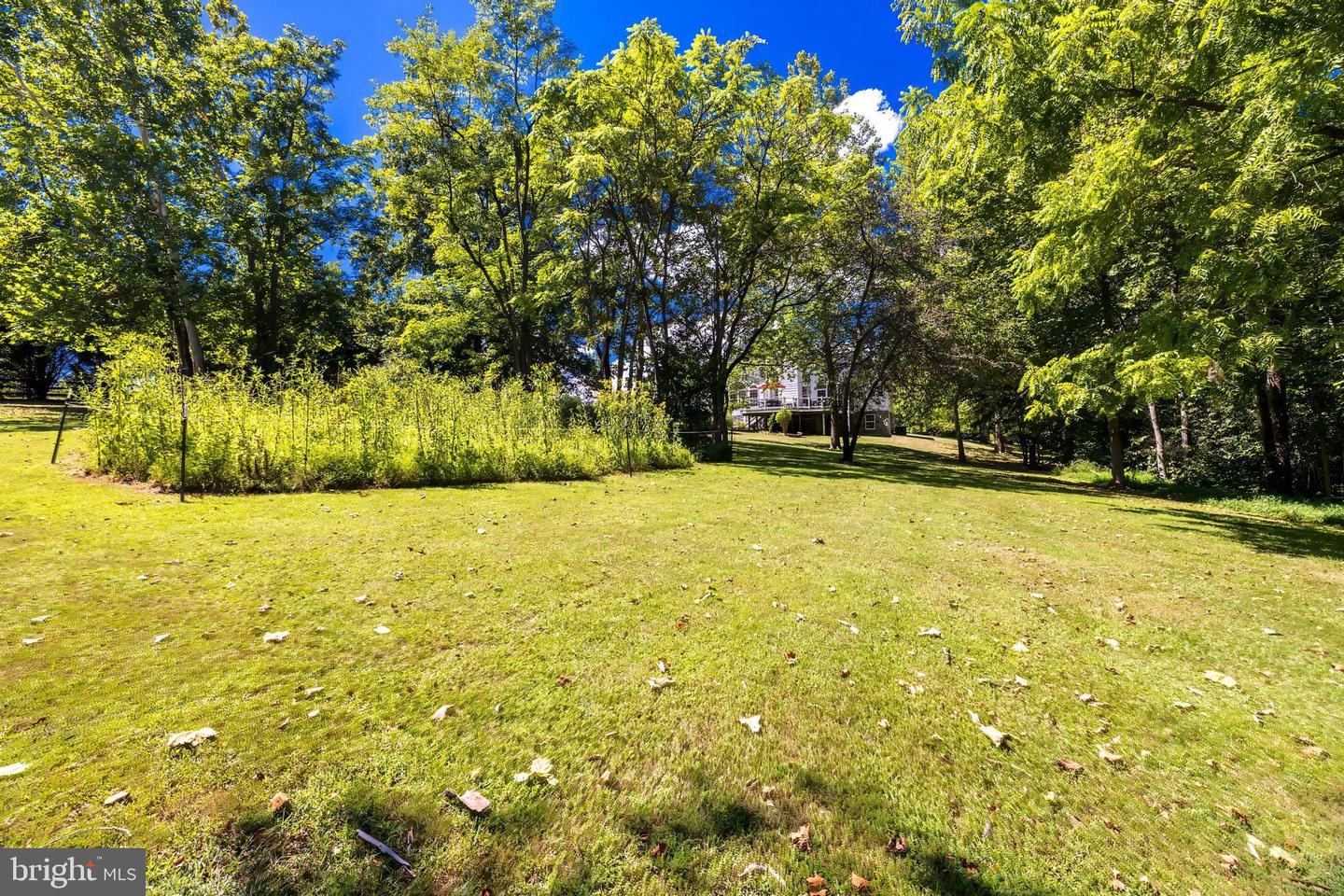 11268 ALLIUM LN, LOVETTSVILLE, Virginia 20180, 4 Bedrooms Bedrooms, 11 Rooms Rooms,2 BathroomsBathrooms,Residential,For sale,11268 ALLIUM LN,VALO2104806 MLS # VALO2104806