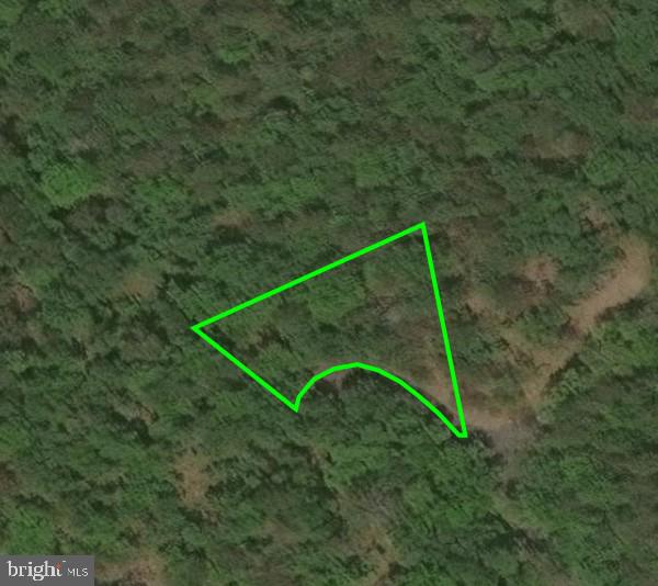 LOT 39 NICKLAUS, BASYE, Virginia 22810, ,Land,For sale,LOT 39 NICKLAUS,VASH2012446 MLS # VASH2012446