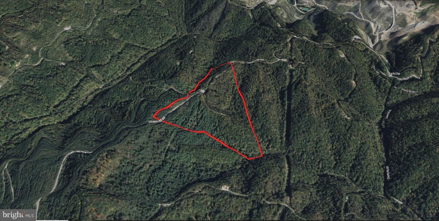 00 RABBIT RDG, CLEVELAND, Virginia 24225, ,Farm,For sale,00 RABBIT RDG,VARU2000010 MLS # VARU2000010