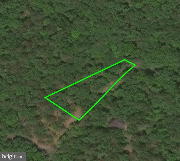 LOT 41 NICKLAUS, BASYE, Virginia 22810, ,Land,For sale,LOT 41 NICKLAUS,VASH2012450 MLS # VASH2012450
