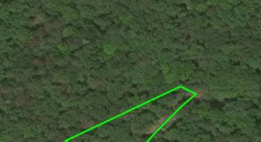 LOT 41 NICKLAUS, BASYE, Virginia 22810, ,Land,For sale,LOT 41 NICKLAUS,VASH2012450 MLS # VASH2012450