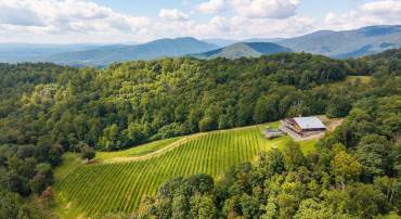 1376 WYATT MOUNTAIN RD, DYKE, Virginia 22935, 4 Bedrooms Bedrooms, ,4 BathroomsBathrooms,Residential,For sale,1376 WYATT MOUNTAIN RD,668616 MLS # 668616