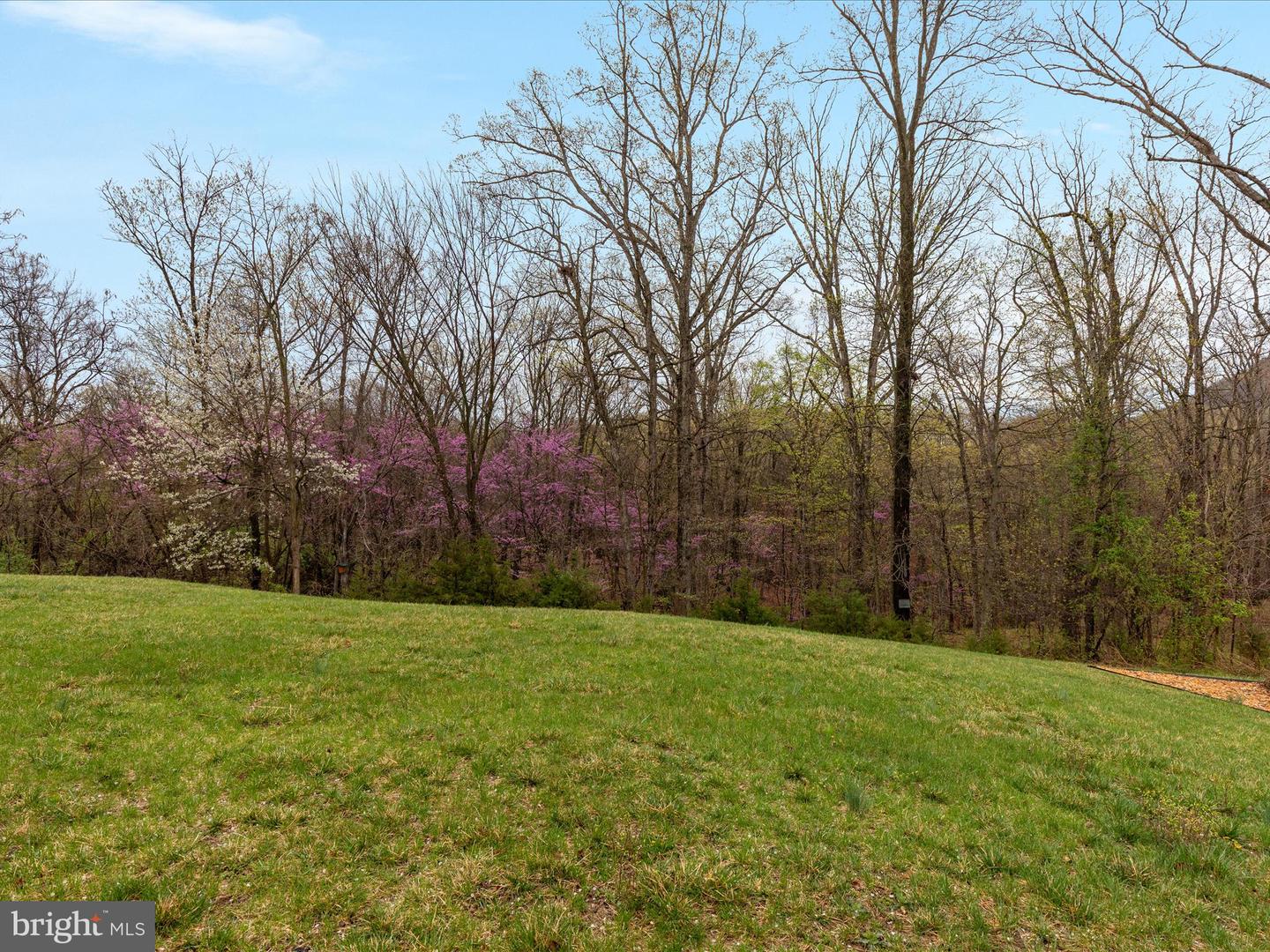 200 STONY POINTE WAY, STRASBURG, Virginia 22657, 2 Bedrooms Bedrooms, ,2 BathroomsBathrooms,Residential,For sale,200 STONY POINTE WAY,VASH2011052 MLS # VASH2011052