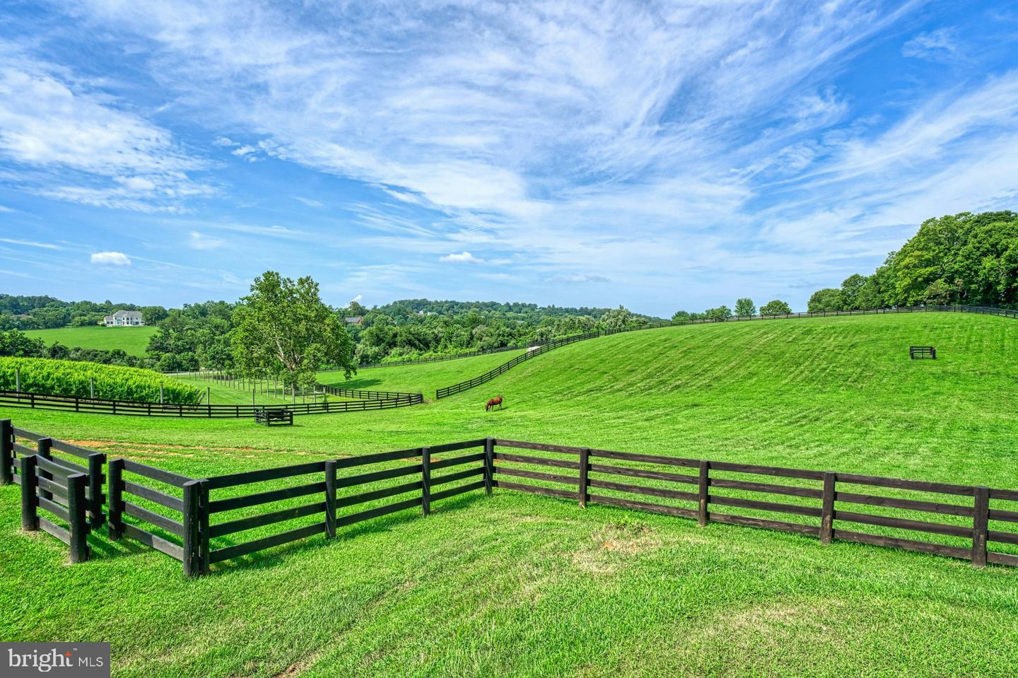 40954 CANTER LN, PAEONIAN SPRINGS, Virginia 20129, 4 Bedrooms Bedrooms, ,6 BathroomsBathrooms,Farm,For sale,40954 CANTER LN,VALO2106338 MLS # VALO2106338