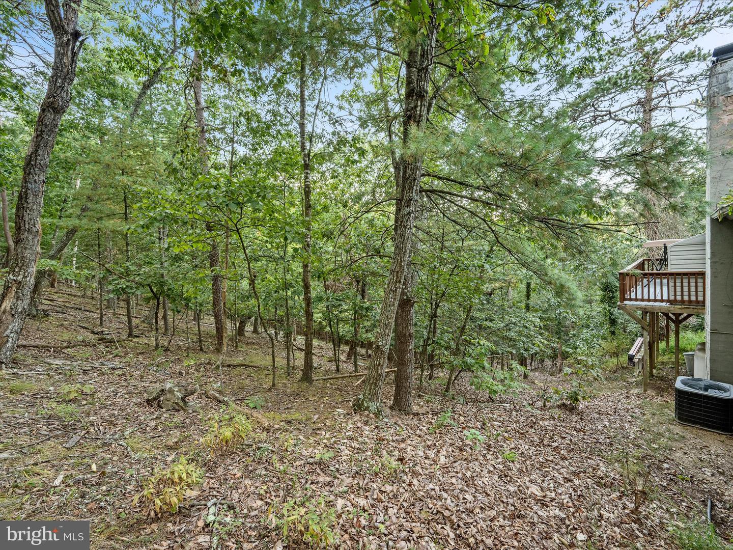 21 RINGNECK CT, BASYE, Virginia 22810, 3 Bedrooms Bedrooms, ,3 BathroomsBathrooms,Residential,For sale,21 RINGNECK CT,VASH2012414 MLS # VASH2012414