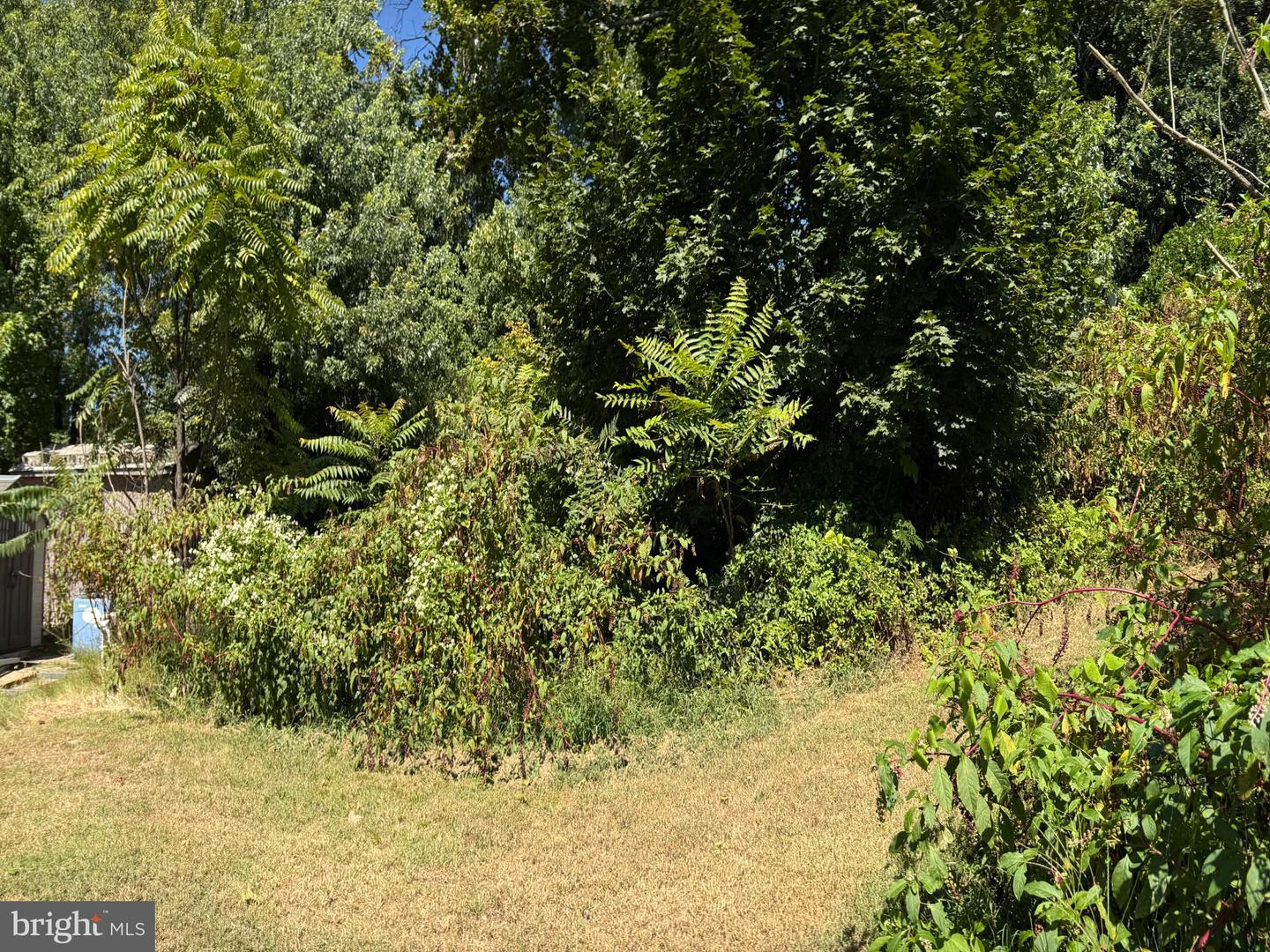 214 2ND AVE, QUANTICO, Virginia 22134, ,Land,For sale,214 2ND AVE,VAPW2101760 MLS # VAPW2101760