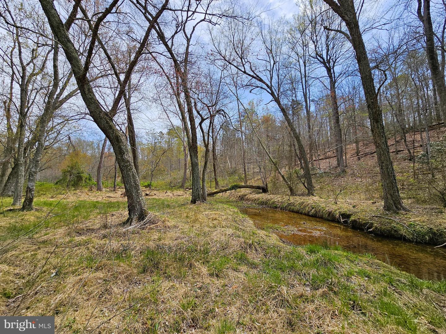 AMANDA'S RIDGE LANE, CULPEPER, Virginia 22701, ,Land,For sale,AMANDA'S RIDGE LANE,VACU2011458 MLS # VACU2011458