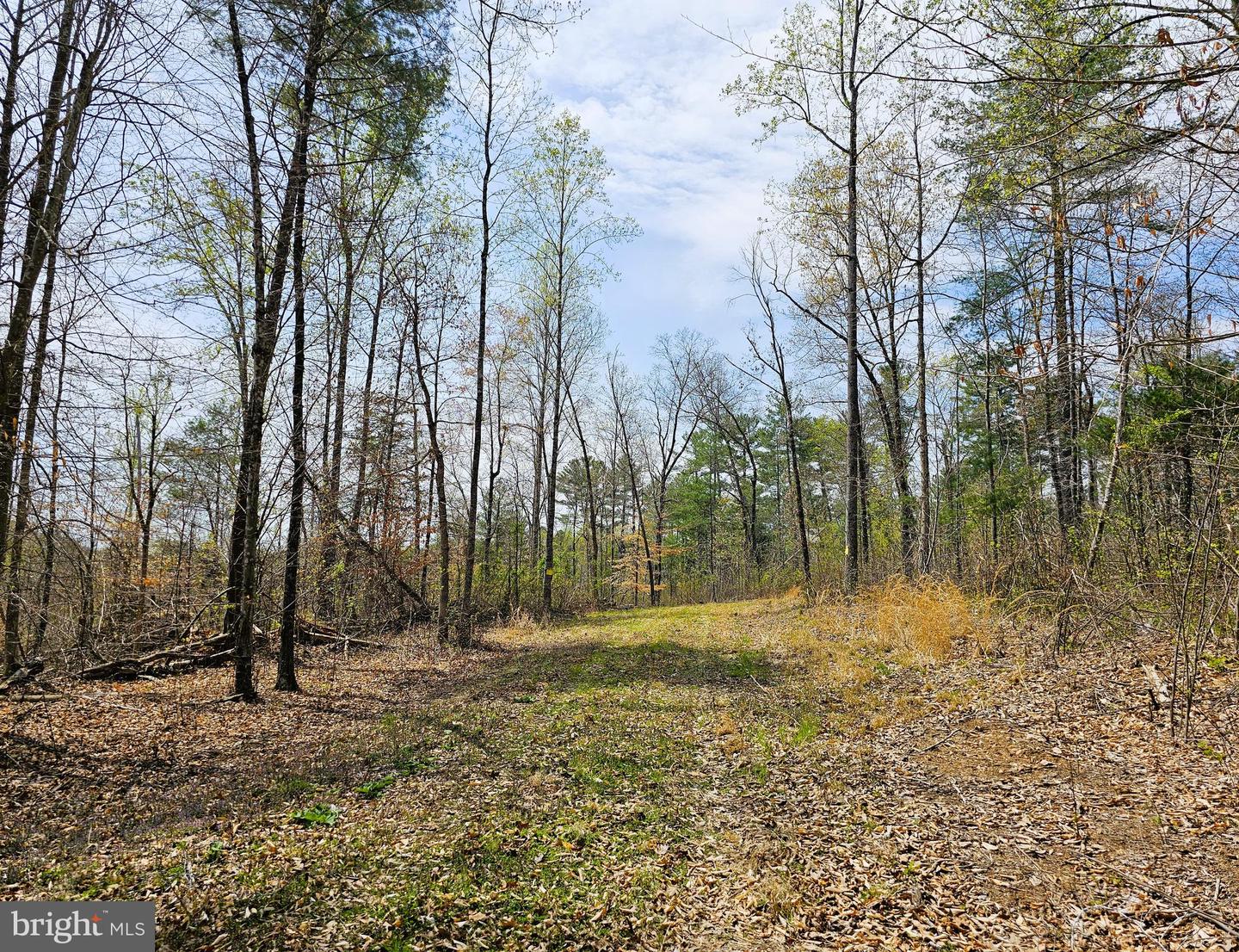 AMANDA'S RIDGE LANE, CULPEPER, Virginia 22701, ,Land,For sale,AMANDA'S RIDGE LANE,VACU2011458 MLS # VACU2011458