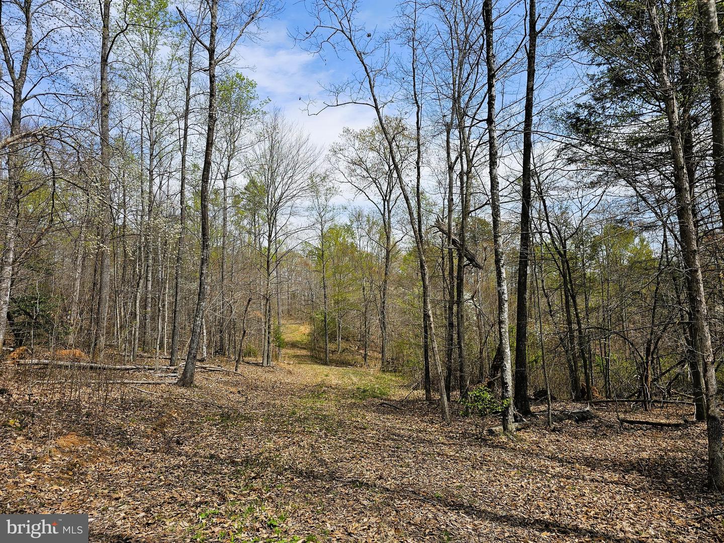AMANDA'S RIDGE LANE, CULPEPER, Virginia 22701, ,Land,For sale,AMANDA'S RIDGE LANE,VACU2011458 MLS # VACU2011458
