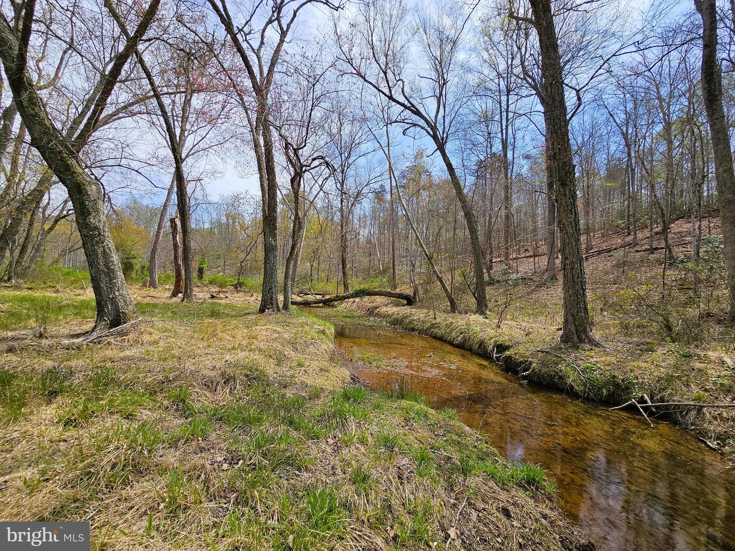 AMANDA'S RIDGE LANE, CULPEPER, Virginia 22701, ,Land,For sale,AMANDA'S RIDGE LANE,VACU2011458 MLS # VACU2011458