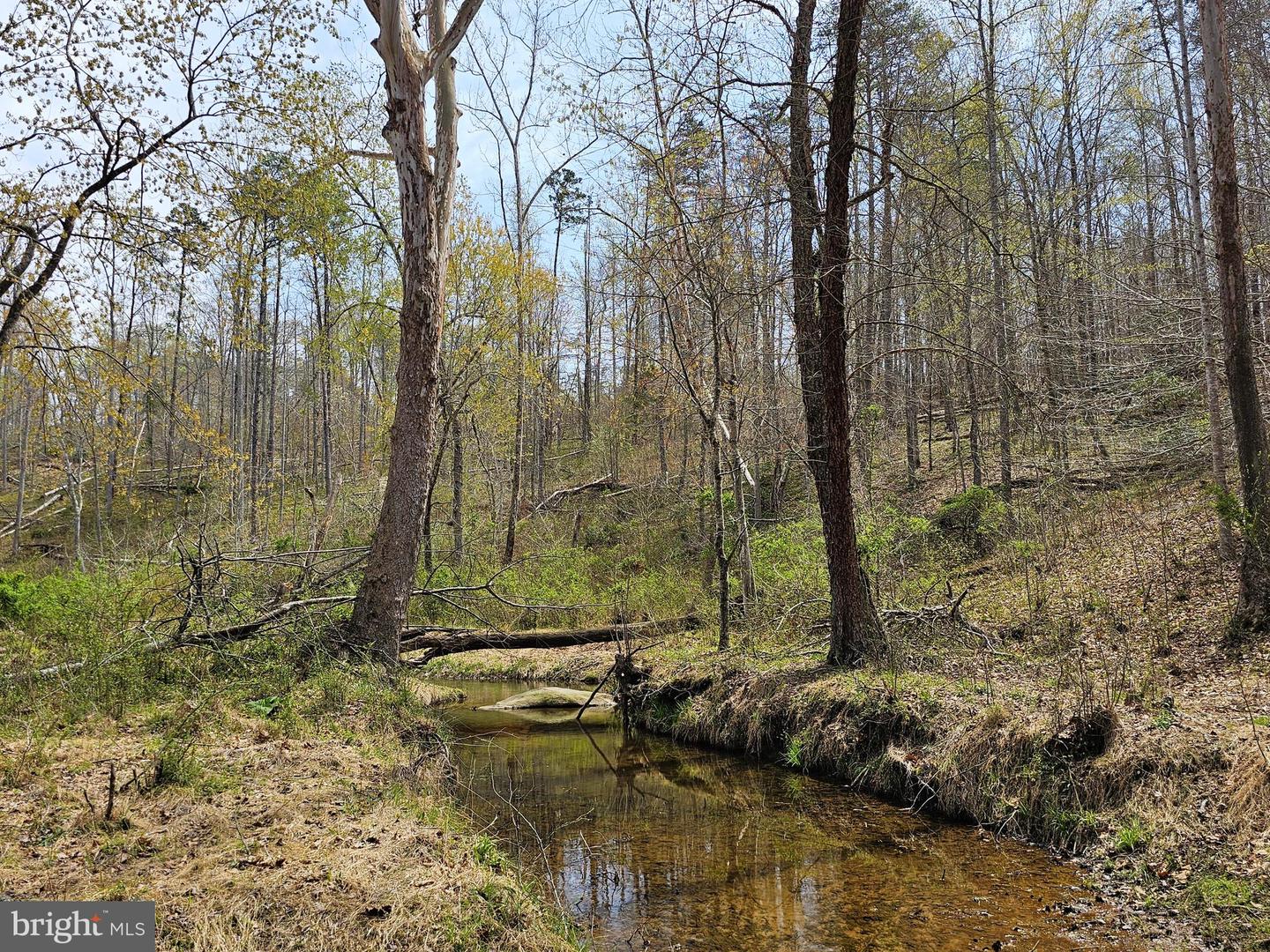 AMANDA'S RIDGE LANE, CULPEPER, Virginia 22701, ,Land,For sale,AMANDA'S RIDGE LANE,VACU2011458 MLS # VACU2011458