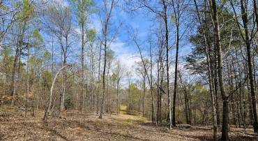 AMANDA'S RIDGE LANE, CULPEPER, Virginia 22701, ,Land,For sale,AMANDA'S RIDGE LANE,VACU2011458 MLS # VACU2011458