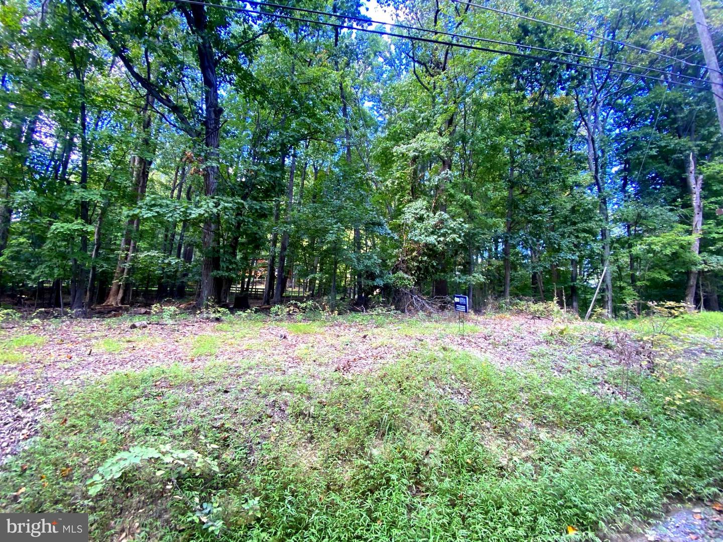 17A1-5-15 TIMBER LN, BLUEMONT, Virginia 20135, ,Land,For sale,17A1-5-15 TIMBER LN,VACL2006012 MLS # VACL2006012