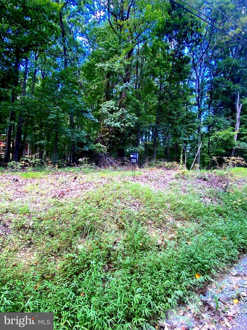 17A1-5-15 TIMBER LN, BLUEMONT, Virginia 20135, ,Land,For sale,17A1-5-15 TIMBER LN,VACL2006012 MLS # VACL2006012