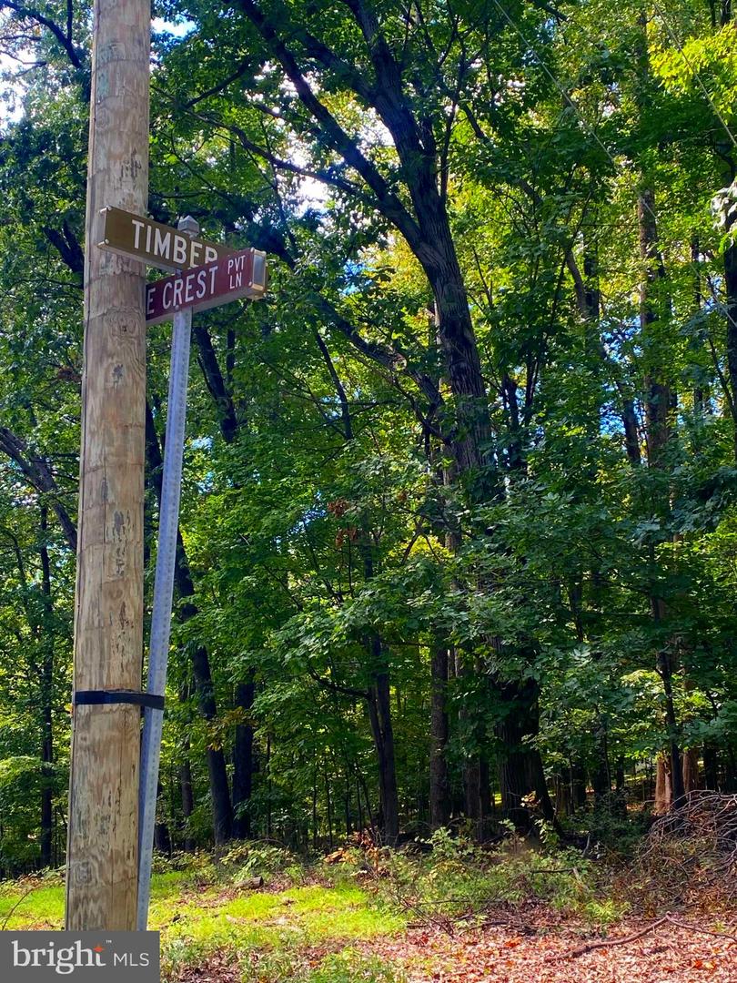 17A1-5-15 TIMBER LN, BLUEMONT, Virginia 20135, ,Land,For sale,17A1-5-15 TIMBER LN,VACL2006012 MLS # VACL2006012