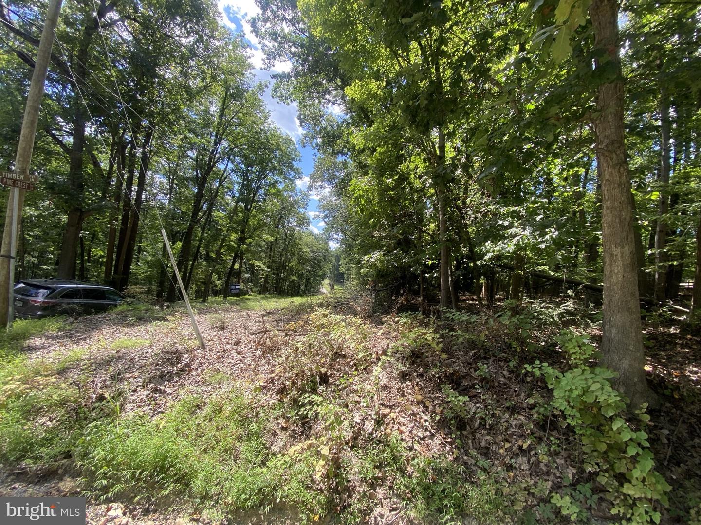 17A1-5-15 TIMBER LN, BLUEMONT, Virginia 20135, ,Land,For sale,17A1-5-15 TIMBER LN,VACL2006012 MLS # VACL2006012