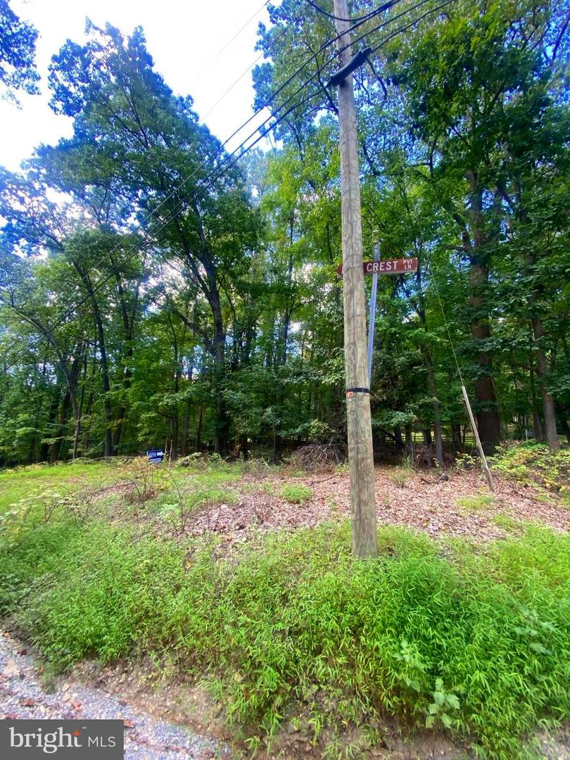 17A1-5-15 TIMBER LN, BLUEMONT, Virginia 20135, ,Land,For sale,17A1-5-15 TIMBER LN,VACL2006012 MLS # VACL2006012