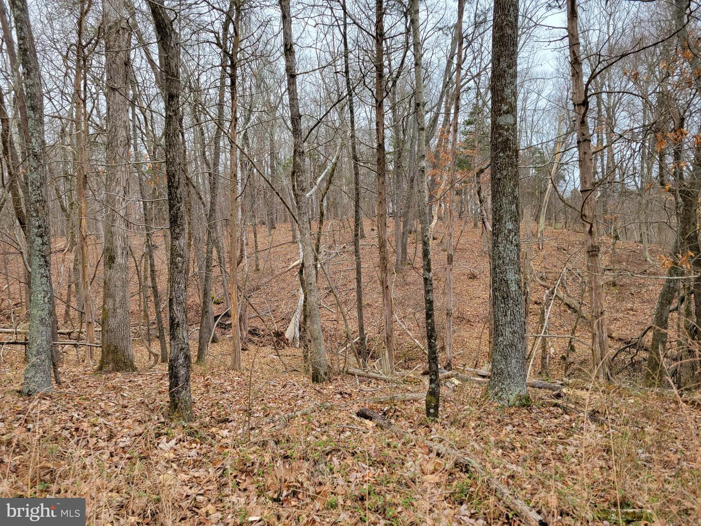 7400 BULL RUN DR, CENTREVILLE, Virginia 20121, ,Land,For sale,7400 BULL RUN DR,VAFX2265372 MLS # VAFX2265372