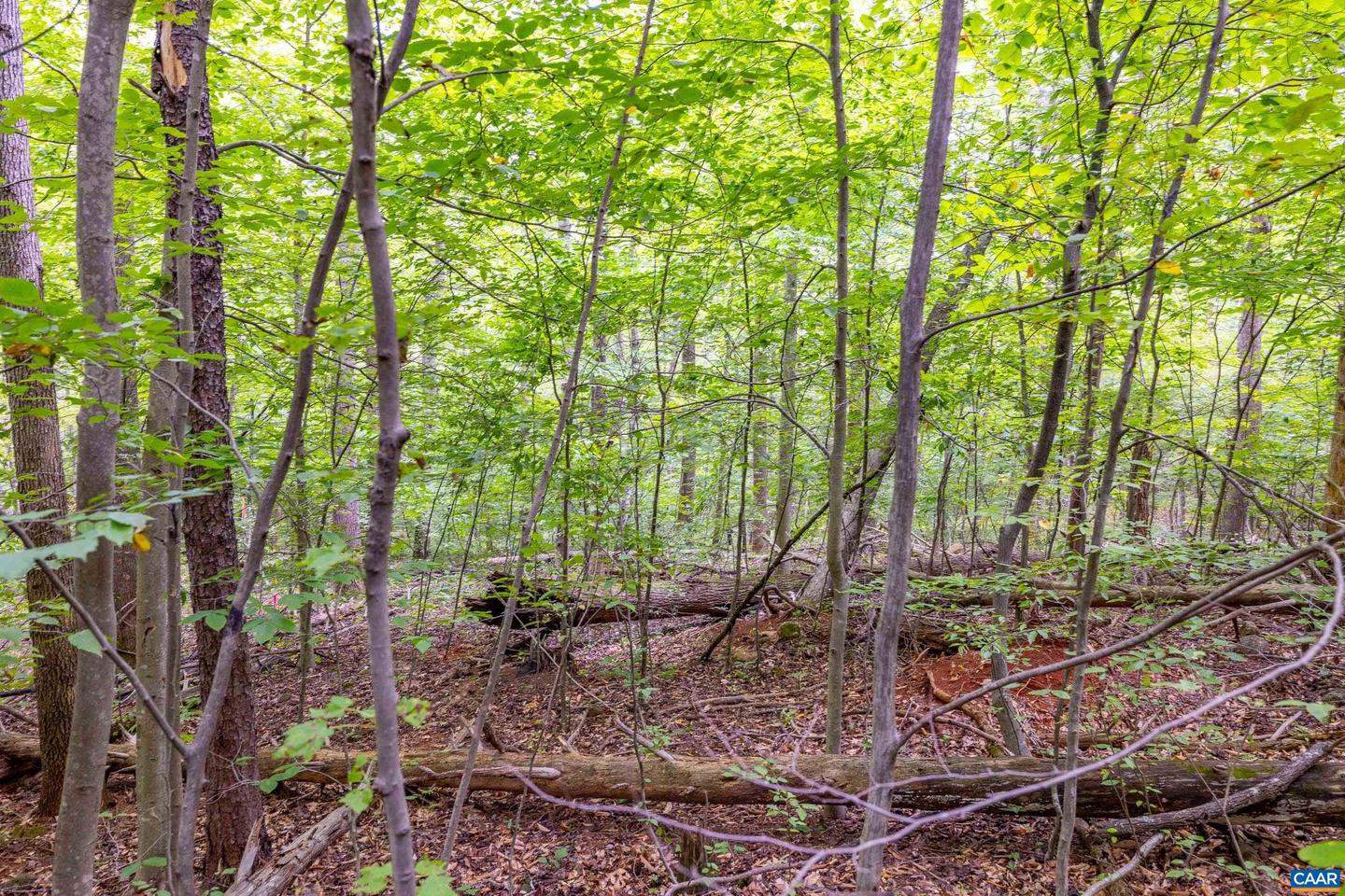 0 MAE DR, STANARDSVILLE, Virginia 22973, ,Land,For sale,0 MAE DR,668691 MLS # 668691