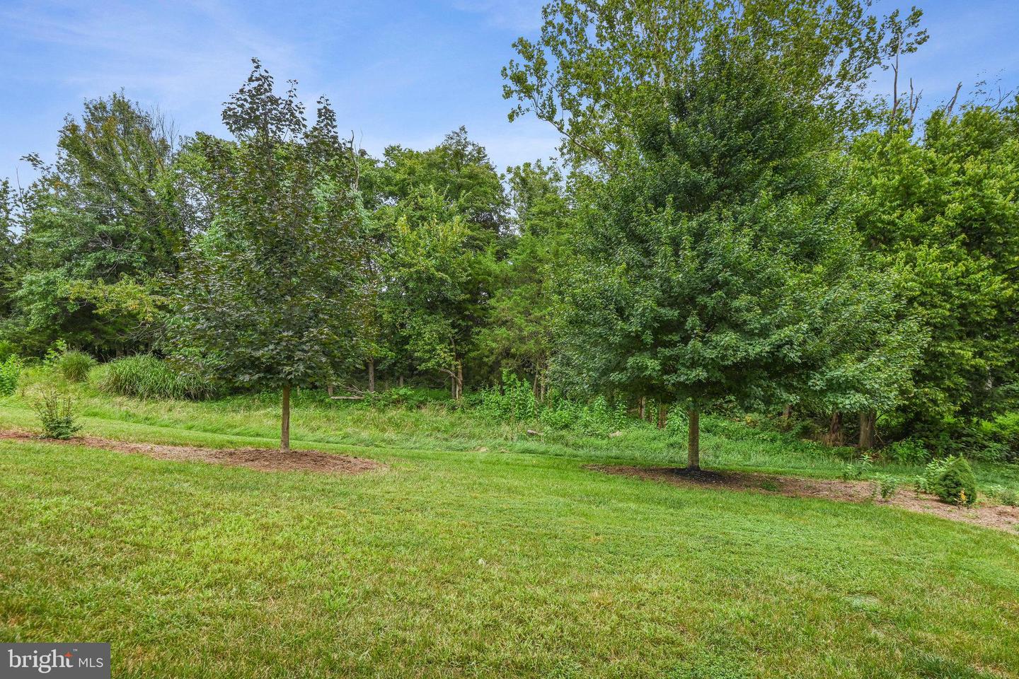 23712 SAFFLOWER CT, ASHBURN, Virginia 20148, 4 Bedrooms Bedrooms, ,3 BathroomsBathrooms,Residential,For sale,23712 SAFFLOWER CT,VALO2104188 MLS # VALO2104188