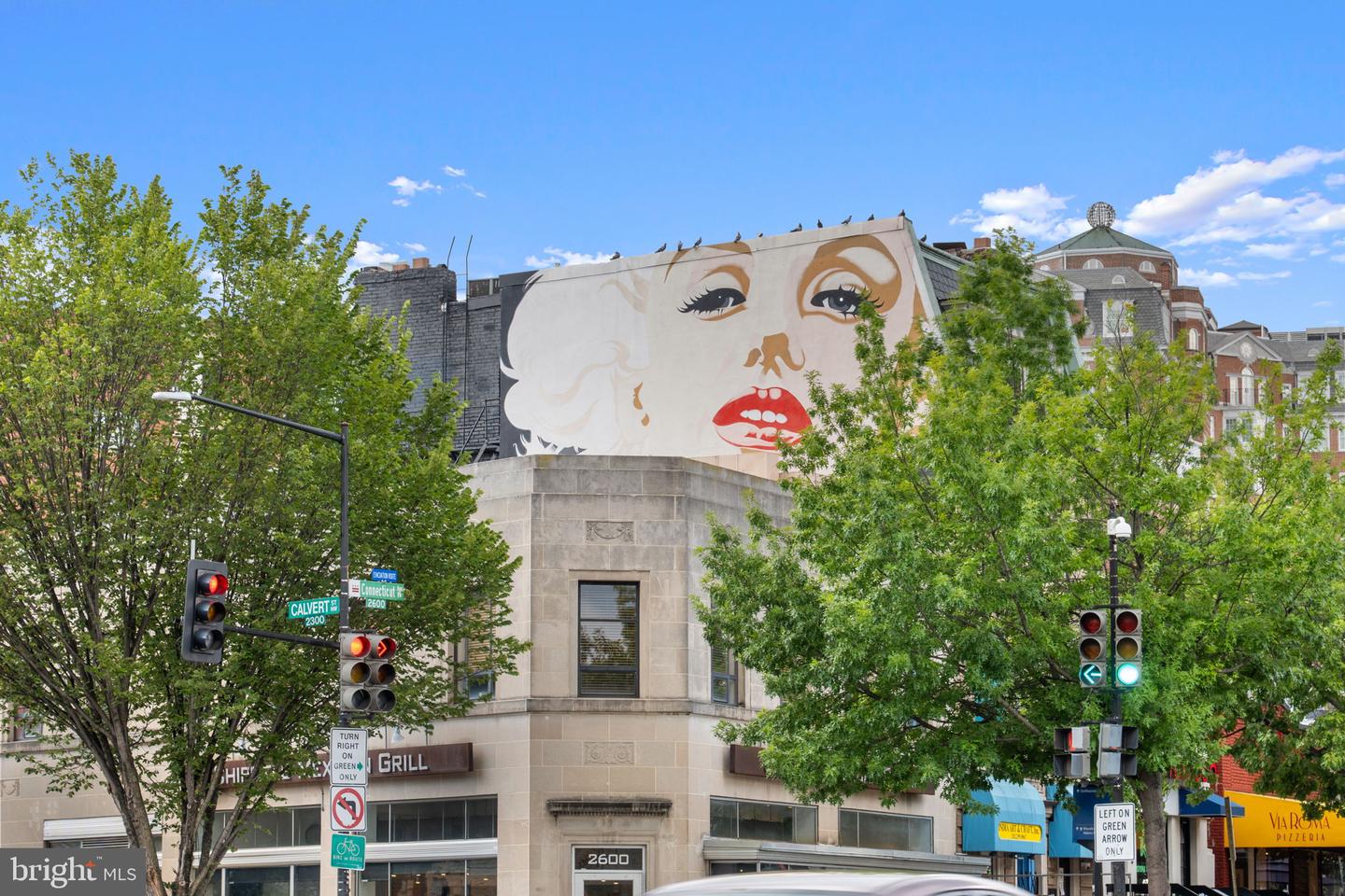 2800 ADAMS MILL RD NW #3, WASHINGTON, District Of Columbia 20009, 3 Bedrooms Bedrooms, ,2 BathroomsBathrooms,Residential,For sale,2800 ADAMS MILL RD NW #3,DCDC2215034 MLS # DCDC2215034