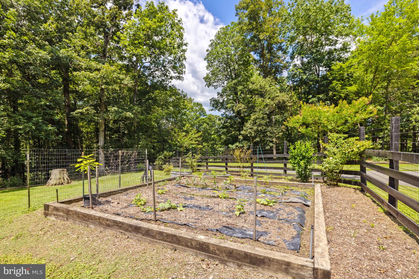 97 TILTHAMMER MILL RD, BOYCE, Virginia 22620, 3 Bedrooms Bedrooms, ,3 BathroomsBathrooms,Farm,For sale,97 TILTHAMMER MILL RD,VACL2006038 MLS # VACL2006038