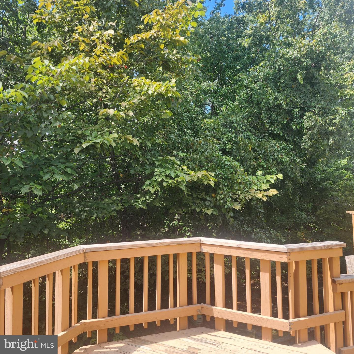 16880 WINSTON LN, WOODBRIDGE, Virginia 22191, 3 Bedrooms Bedrooms, ,2 BathroomsBathrooms,Residential,For sale,16880 WINSTON LN,VAPW2102870 MLS # VAPW2102870