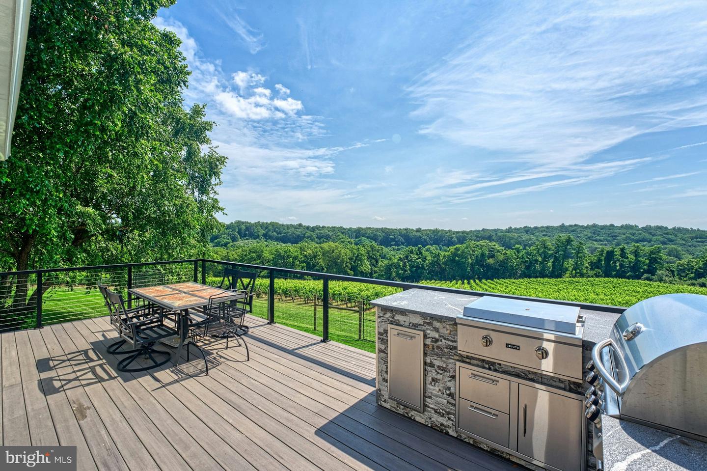 40954 CANTER LN, PAEONIAN SPRINGS, Virginia 20129, 4 Bedrooms Bedrooms, ,6 BathroomsBathrooms,Residential,For sale,40954 CANTER LN,VALO2105746 MLS # VALO2105746