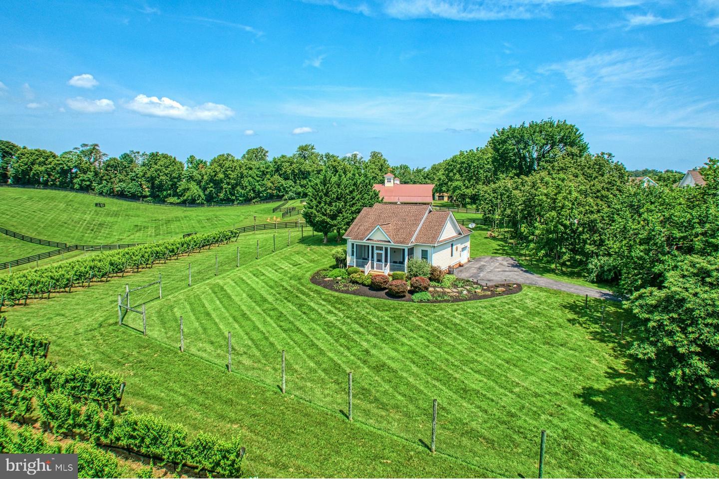 40954 CANTER LN, PAEONIAN SPRINGS, Virginia 20129, 4 Bedrooms Bedrooms, ,6 BathroomsBathrooms,Residential,For sale,40954 CANTER LN,VALO2105746 MLS # VALO2105746