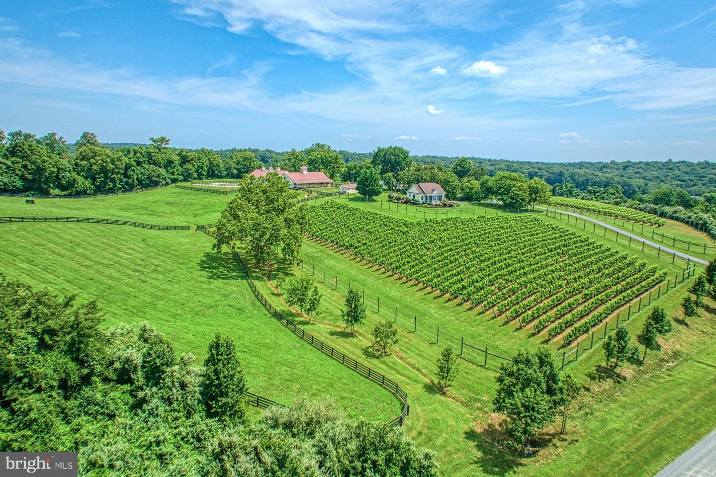 40954 CANTER LN, PAEONIAN SPRINGS, Virginia 20129, 4 Bedrooms Bedrooms, ,6 BathroomsBathrooms,Residential,For sale,40954 CANTER LN,VALO2105746 MLS # VALO2105746